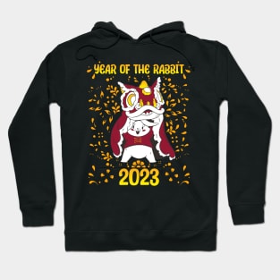 Good Luck Zodiac Happy Chinese New Year of the Rabbit Hoodie
